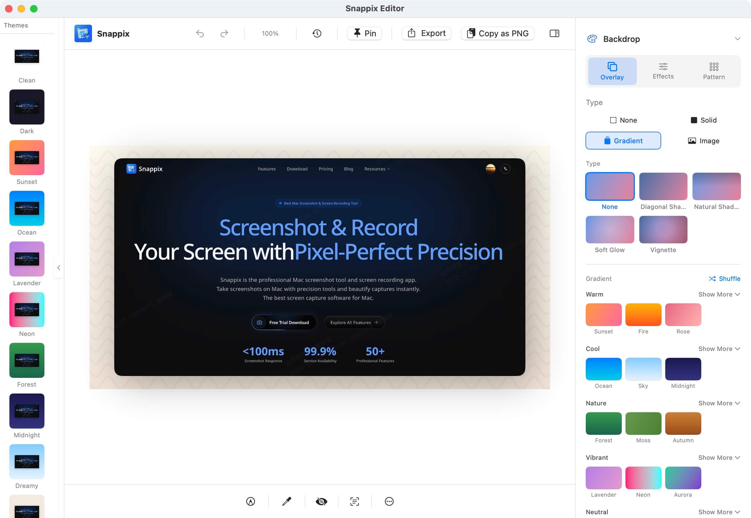 Snappix editor workspace